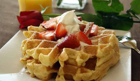 Pet Friendly Bed & Breakfast